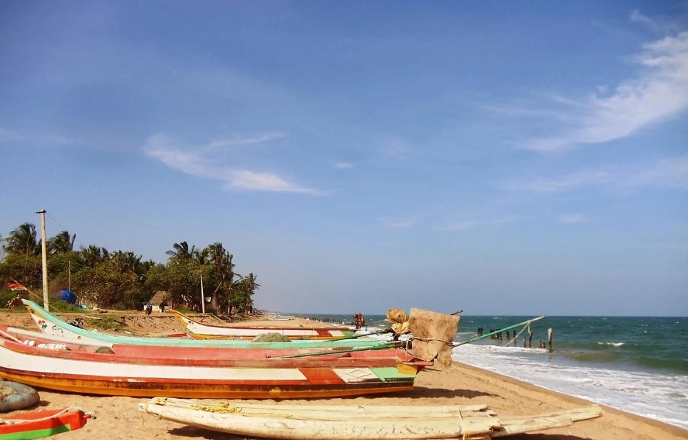 Auro Beach in Auroville Pictures